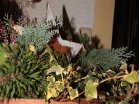 IMG 4399